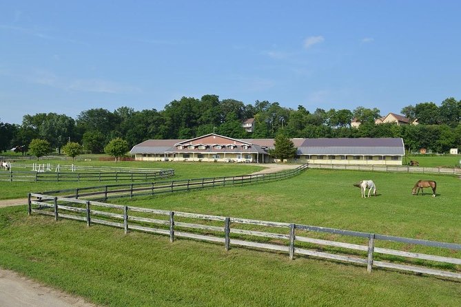 Horseback Rides, Interactions, and Petting Zoo - Practical planning for your Galena day