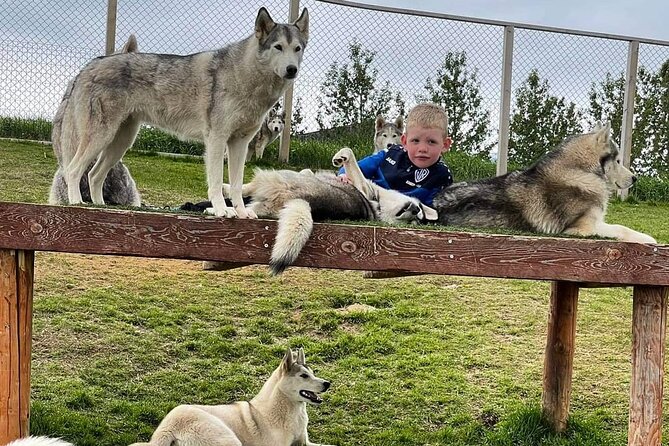Husky Petting in Akureyri (private) - Gunni and Maria add the local story