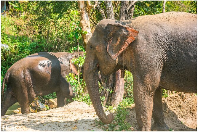 Inthanon Heaven Trail(Living Green Elephant Sanctuary) - Lunch before the mountain road