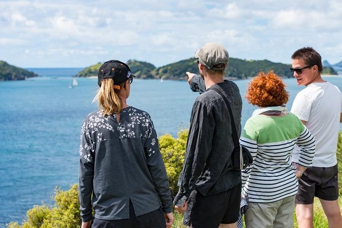 Island Hopper Day Cruise - sailing to wildlife sanctuary island - 6 hr cruise - Weather, mobility, and cruise ship timing