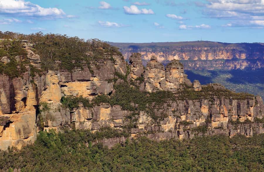 Japanese Tour Small Group: Blue Mountains, Scenic World, Zoo - Should you book this Blue Mountains tour?