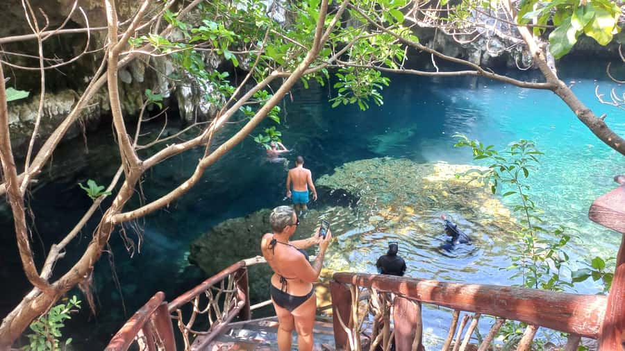 Jozani Monkey Forest & Malum Cave Swimming - Key points to know before you book