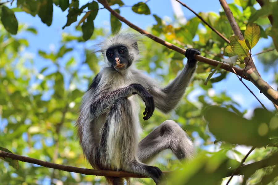 Jozani Monkey Forest & Malum Cave Swimming - The cave pool and the name to confirm