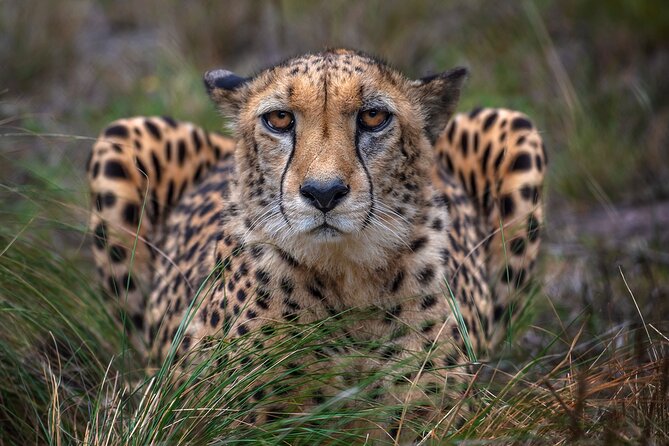 Jukani Wildlife Sanctuary Admission with Guided Tour - The value of the $24.73 admission