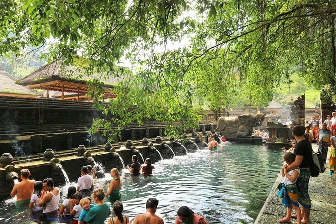Jungle Swing - Volcano - Water Temple - Monkey Forest and Waterfall Tour - A full day of Bali highlights, not a slow-paced outing