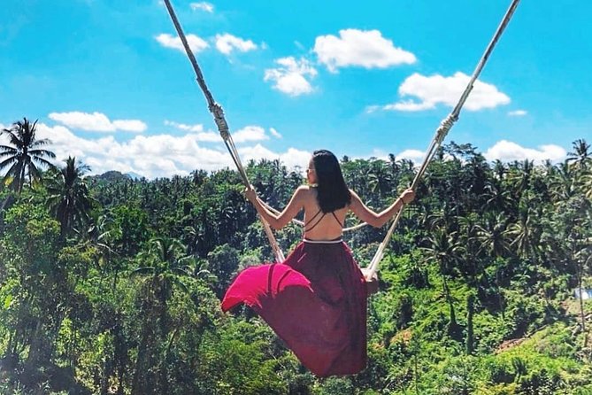 Jungle Swing - Volcano - Water Temple - Monkey Forest and Waterfall Tour - The jungle swing is the day’s playful photo stop