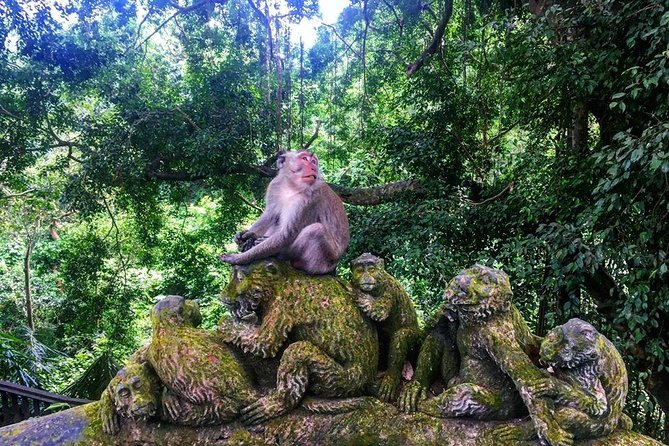 Jungle Swing - Volcano - Water Temple - Monkey Forest and Waterfall Tour - Optional stops can change the character of the day
