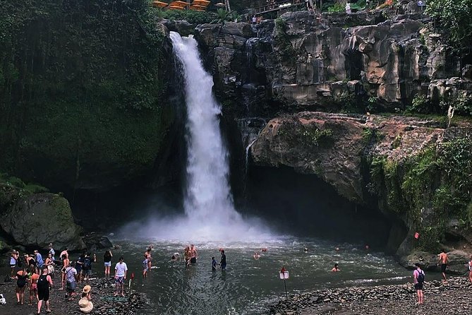Jungle Swing - Volcano - Water Temple - Monkey Forest and Waterfall Tour - Tegenungan Waterfall starts the day with jungle scenery