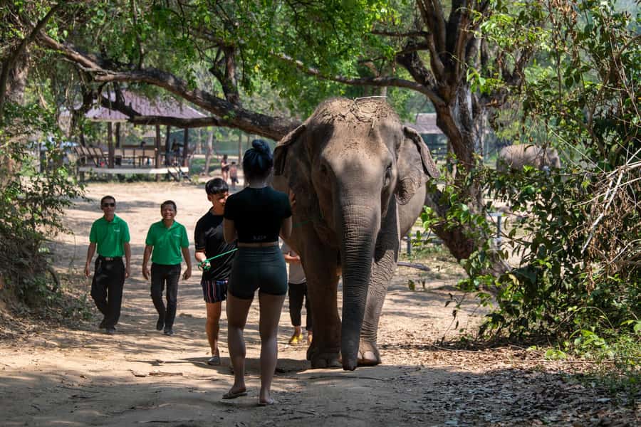 Kanchanaburi: Elephant Sanctuary & Erawan Waterfall Tour - Should you book the Elephants World and Erawan day?