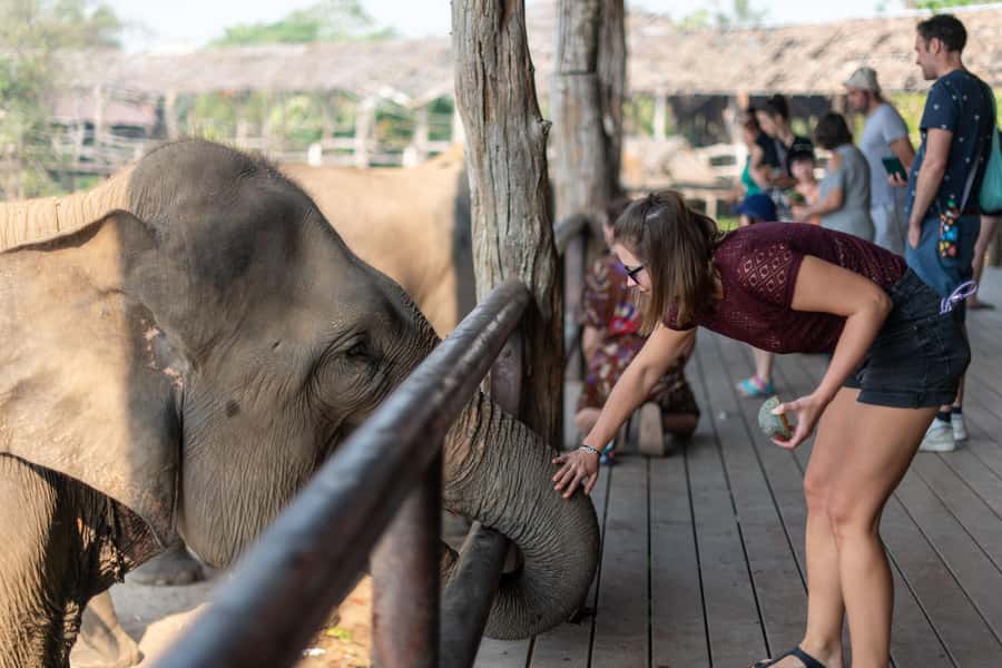 Kanchanaburi: Elephant Sanctuary & Erawan Waterfall Tour - A responsible elephant experience, with sensible expectations