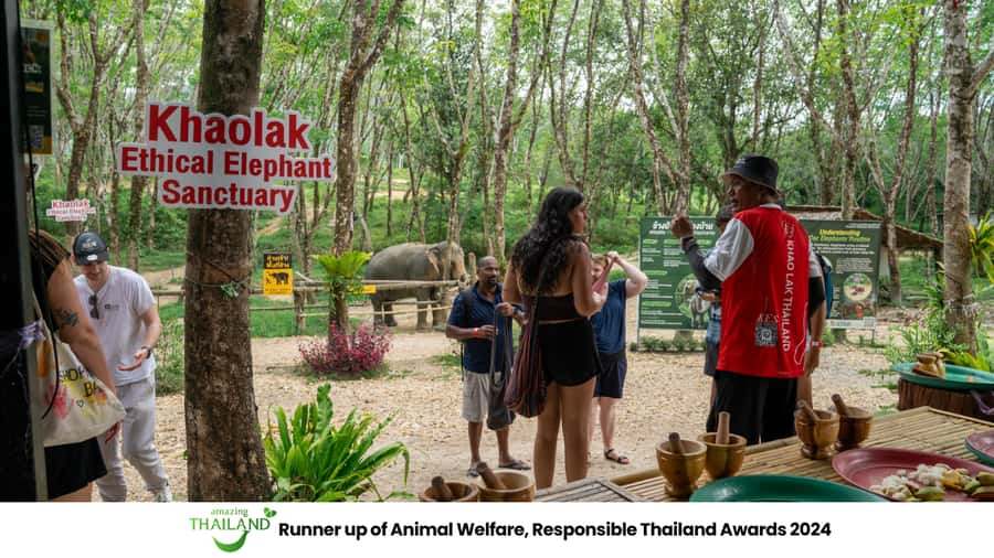 Khao Lak: 2-Hour Elephant Sanctuary Eco-Walk with Guided - Key points to know before you go