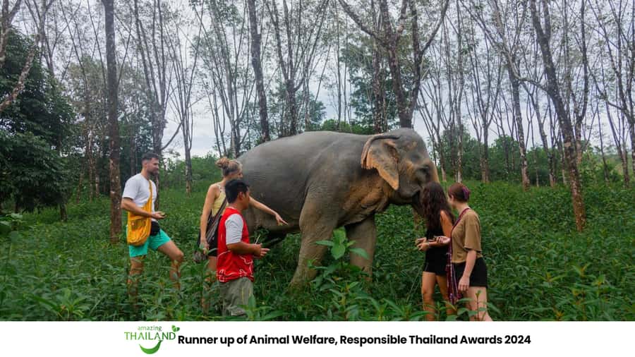 Khao Lak: 2-Hour Elephant Sanctuary Eco-Walk with Guided - Why this sanctuary feels different
