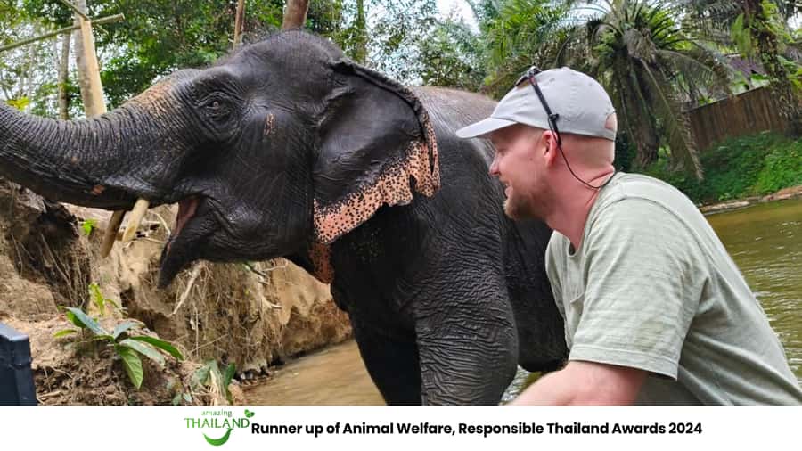 Khao Lak: 2-Hour Elephant Sanctuary Eco-Walk with Guided - Meeting the rescued elephants