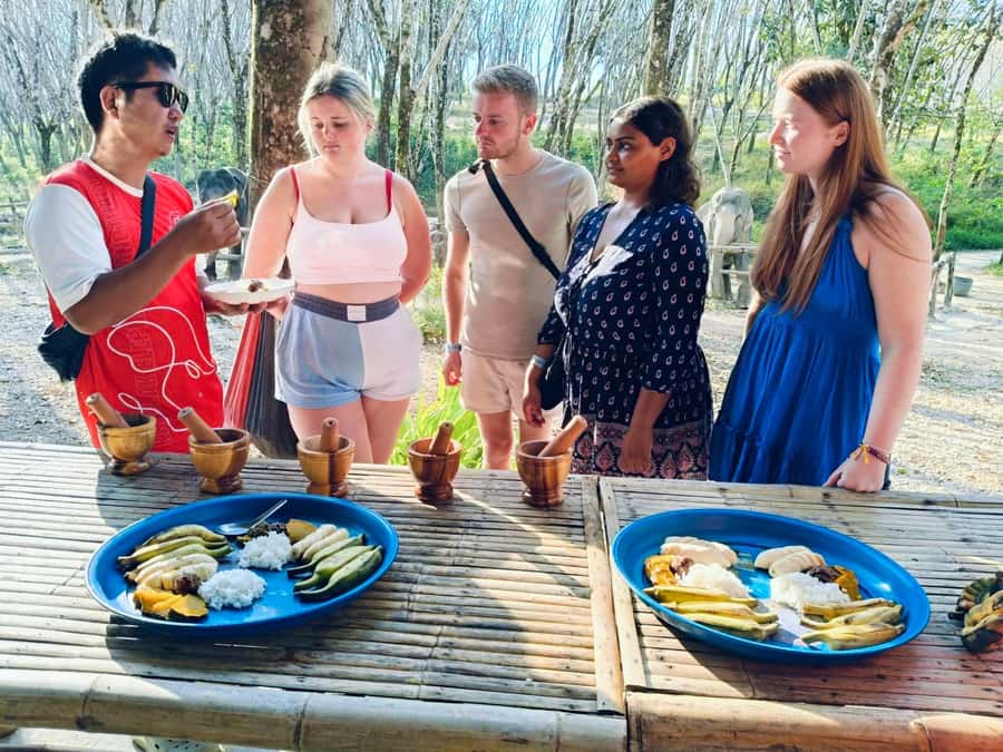 Khao Lak: 2-Hour Elephant Sanctuary Eco-Walk with Guided - Booking details worth noting