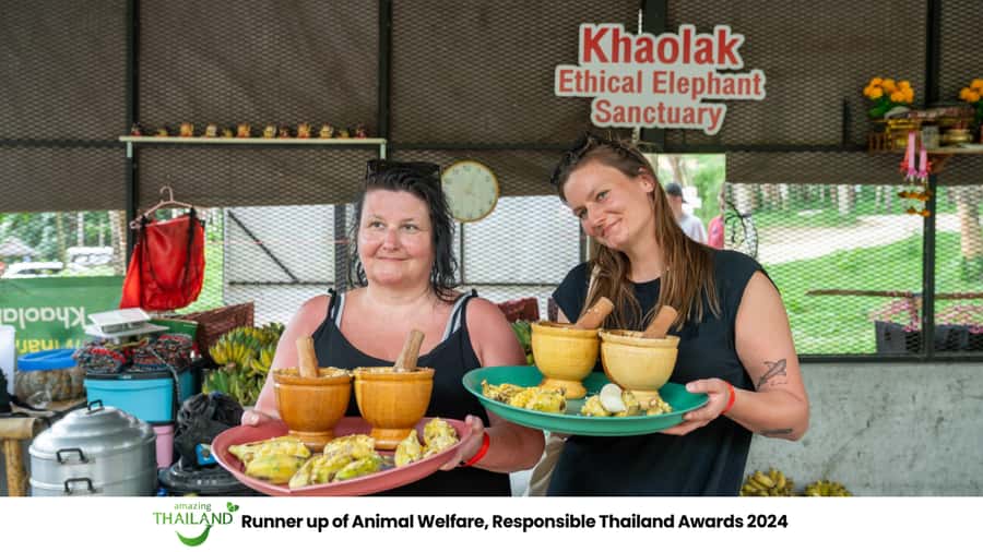 Khao Lak: 2-Hour Elephant Sanctuary Eco-Walk with Guided - From your hotel to the forest
