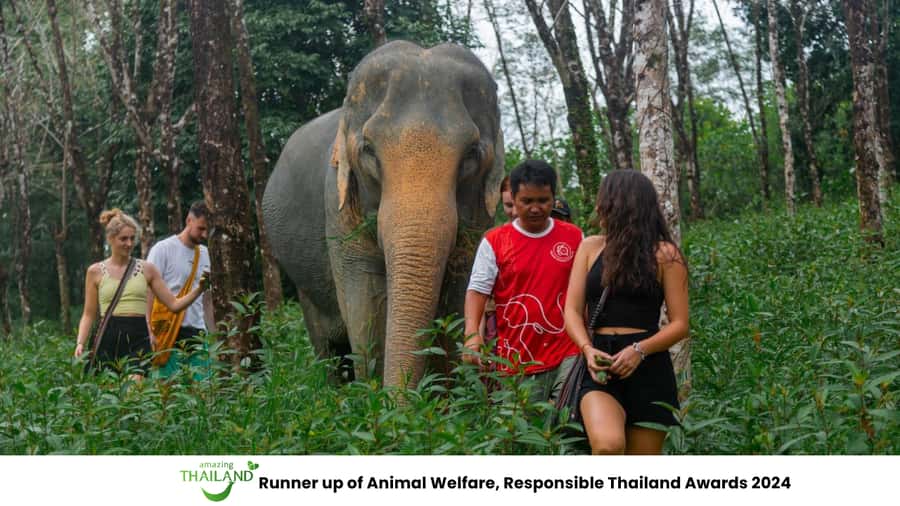 Khao Lak: All-Day Elephant Sanctuary Experience Small Groups - Key points at a glance