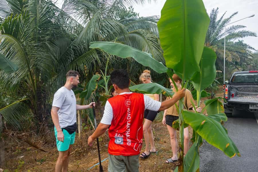 Khao Lak: All-Day Elephant Sanctuary Experience Small Groups - What to bring and what to expect