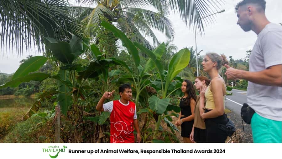 Khao Lak: All-Day Elephant Sanctuary Experience Small Groups - Watching elephants in their own routine