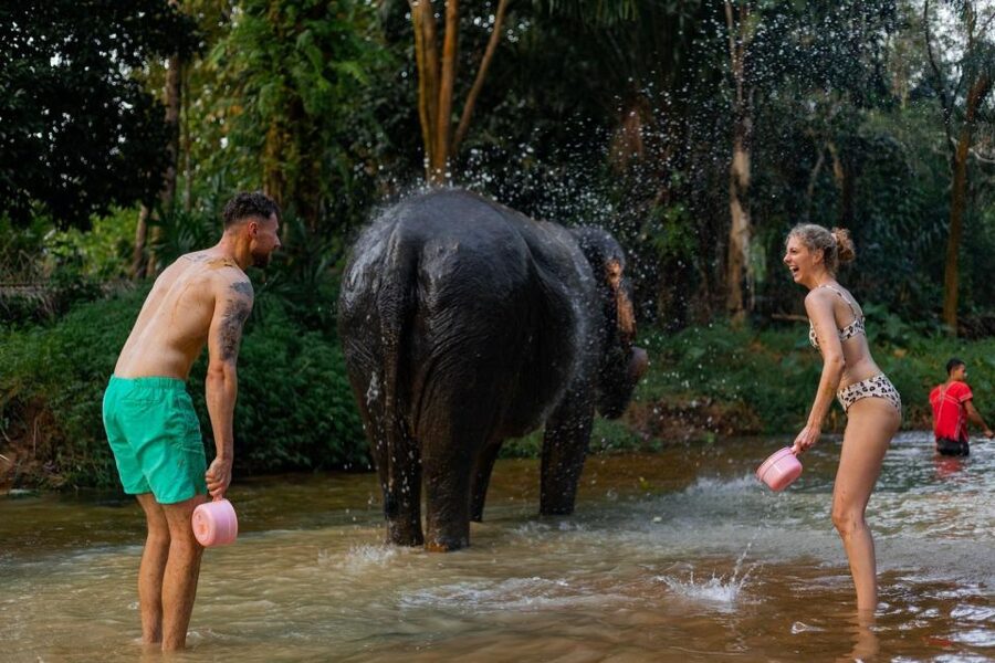 Khao Lak: All-Day Elephant Sanctuary Experience Small Groups - Rubber tapping and the local farm visit