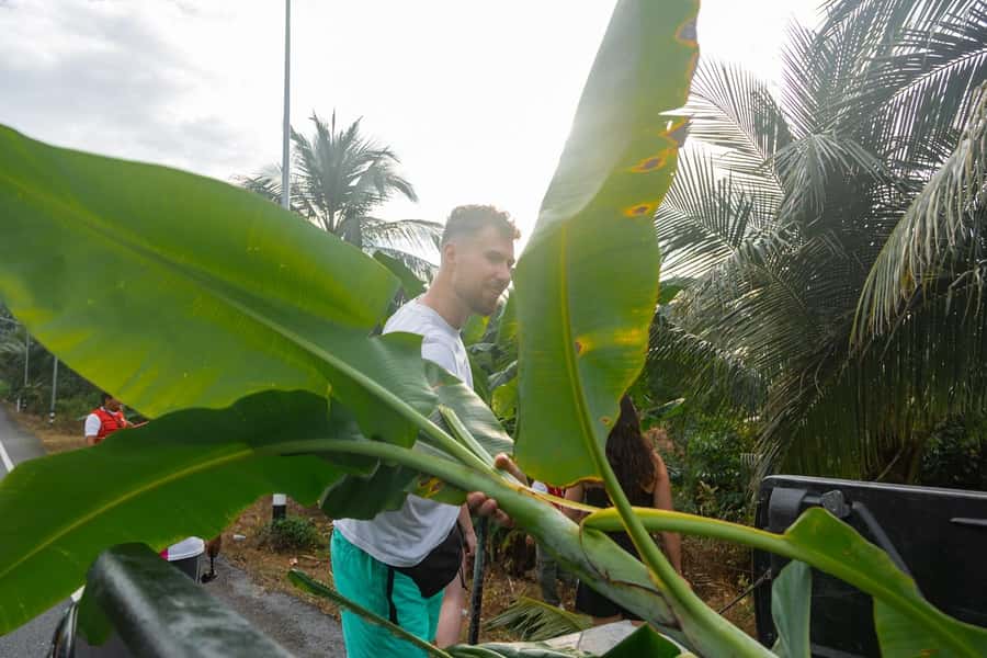 Khao Lak: All-Day Elephant Sanctuary Experience Small Groups - Water play and the Sai Rung Waterfall stop