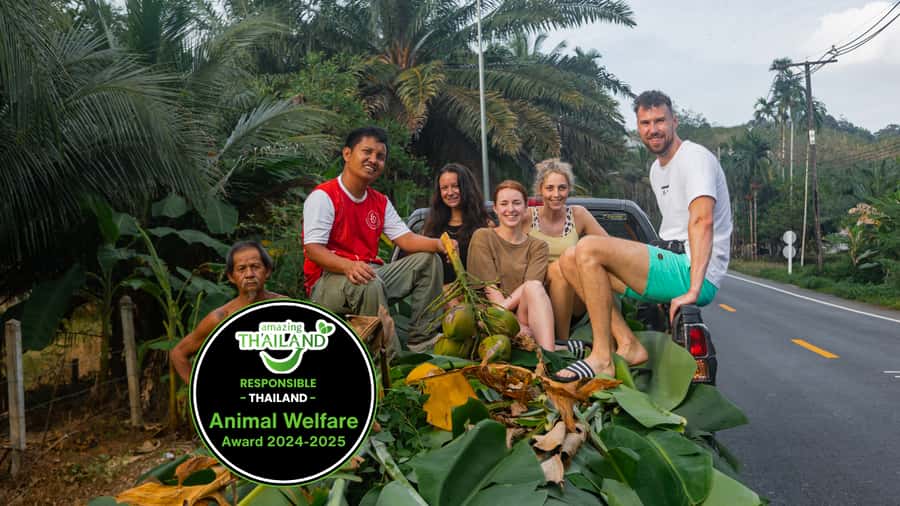 Khao Lak: All-Day Elephant Sanctuary Experience Small Groups - An 8 AM pickup and a small group of 10