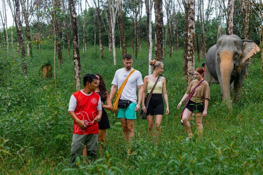 Khao Lak Eco Safari: Elephant Sanctuary Small Group Tour - Key points at a glance