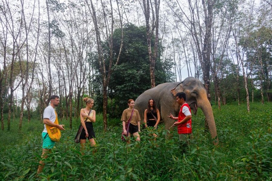 Khao Lak Eco Safari: Elephant Sanctuary Small Group Tour - What the strongest feedback tells you