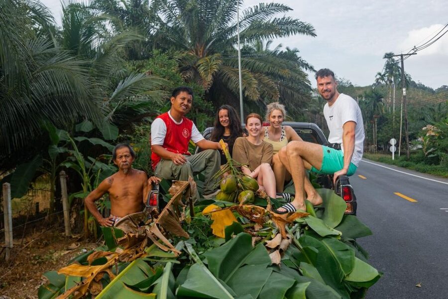 Khao Lak Eco Safari: Elephant Sanctuary Small Group Tour - Thai food and a short cooking activity