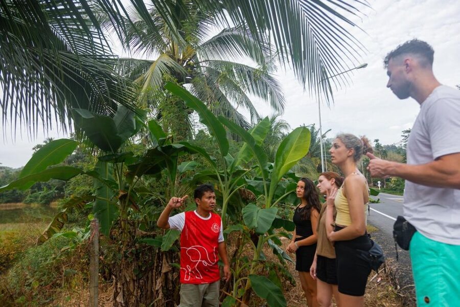 Khao Lak Eco Safari: Elephant Sanctuary Small Group Tour - Is $98 good value?