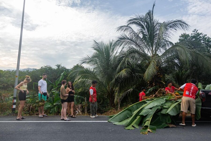 Khao Lak Eco Safari: Elephant Sanctuary Small Group Tour - A closer look at the sanctuary routine