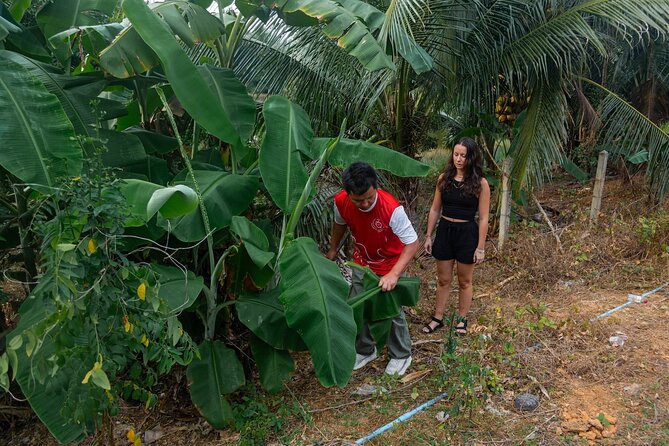 Khao Lak Elephant Sanctuary Full Day Small Group Tour - Sai Rung Waterfall: a 30-minute nature break