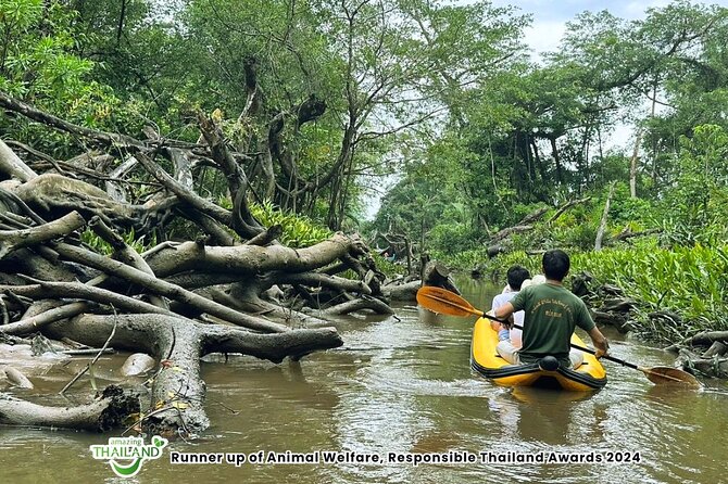 Khao Lak Elephant Sanctuary Visit and Mangrove Kayak Tour - Lunch with the elephants nearby