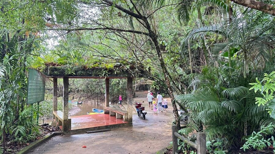 Khao Lak: Elephant Sanctuary Visit and Mangrove Kayak Tour - Who should book this experience?