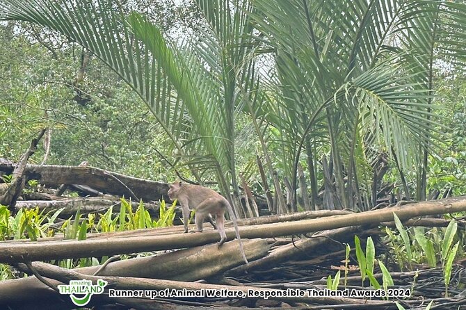 Khao Lak: Elephant Sanctuary Visit and Mangrove Kayak Tour - From Khao Lak to Takuapa’s Little Amazon