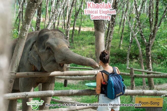 Khao Lak Ethical Elephant Sanctuary Conservation Experience - Key points at a glance