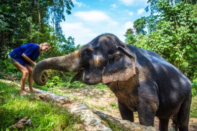 Khao Lak: Ethical Elephant Sanctuary Experience
