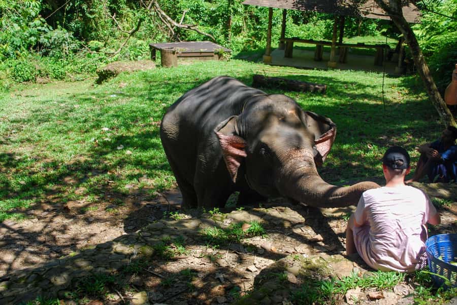 Khao Lak: Ethical Elephant Sanctuary Experience - The rock-pool bath, optional and hands-on