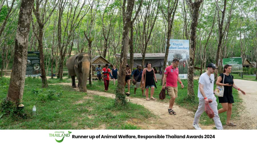 Khao Lak: Ethical Elephant Sanctuary Overnight Adventure - Who should book this overnight experience