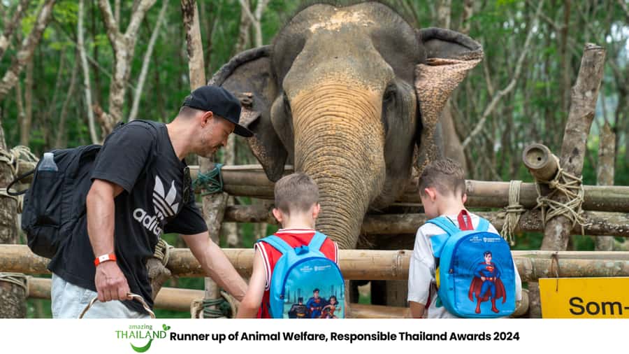 Khao Lak: Ethical Elephant Sanctuary Overnight Adventure - Why the elephant policy matters