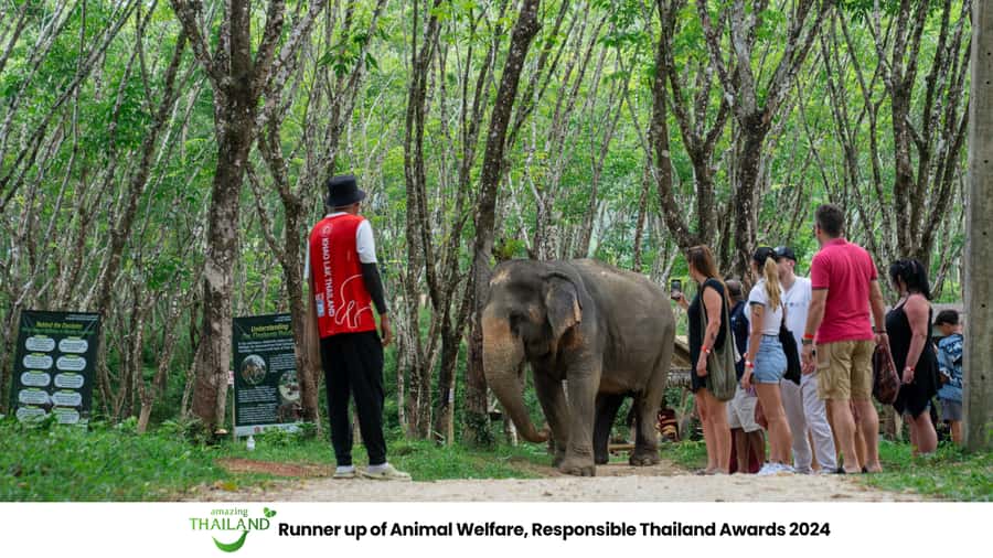 Khao Lak: Ethical Elephant Sanctuary Overnight Adventure - Feeding, forest walks, and bathing observation