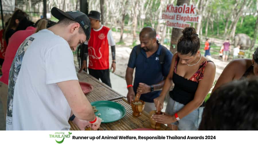 Khao Lak: Ethical Elephant Sanctuary Overnight Adventure - Morning breakfast and a second look at conservation