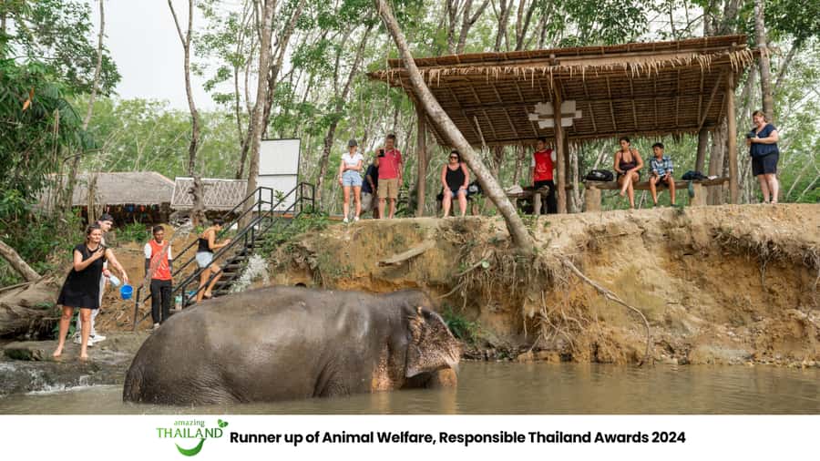 Khao Lak: Ethical Elephant Sanctuary Overnight Adventure - What the $241 price includes