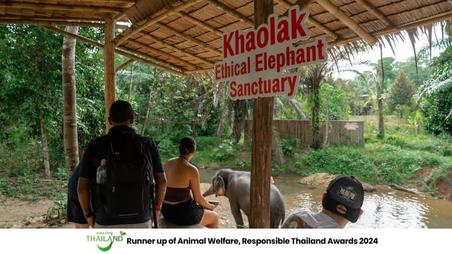 Khao Lak: Ethical Elephant Sanctuary Overnight Adventure - Arrival from Khao Lak or Phuket