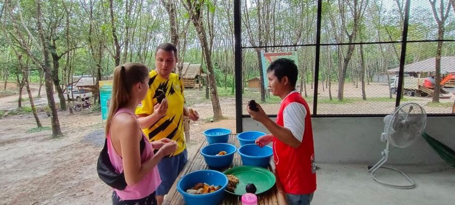 Khao Lak Ethical Elephant Sanctuary Overnight Program - Making vitamin balls and feeding elephants