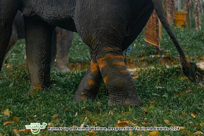Khao Lak Ethical Elephant Sanctuary Small Group Tour - Rubber plantation and village garden activities