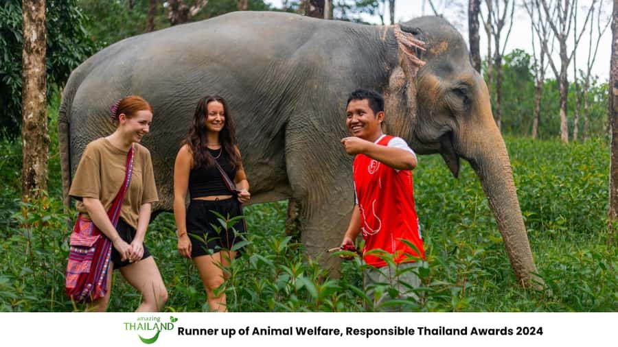 Khao Lak: Ethical Overnight Elephant Sanctuary Experience - Key points at a glance