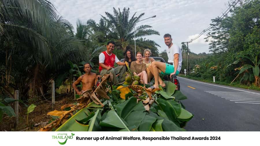 Khao Lak: Ethical Overnight Elephant Sanctuary Experience - Meeting the elephants in the forest