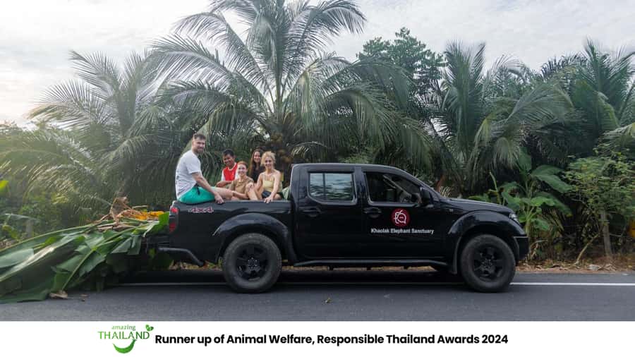Khao Lak: Ethical Overnight Elephant Sanctuary Experience - River playtime without a bathing show