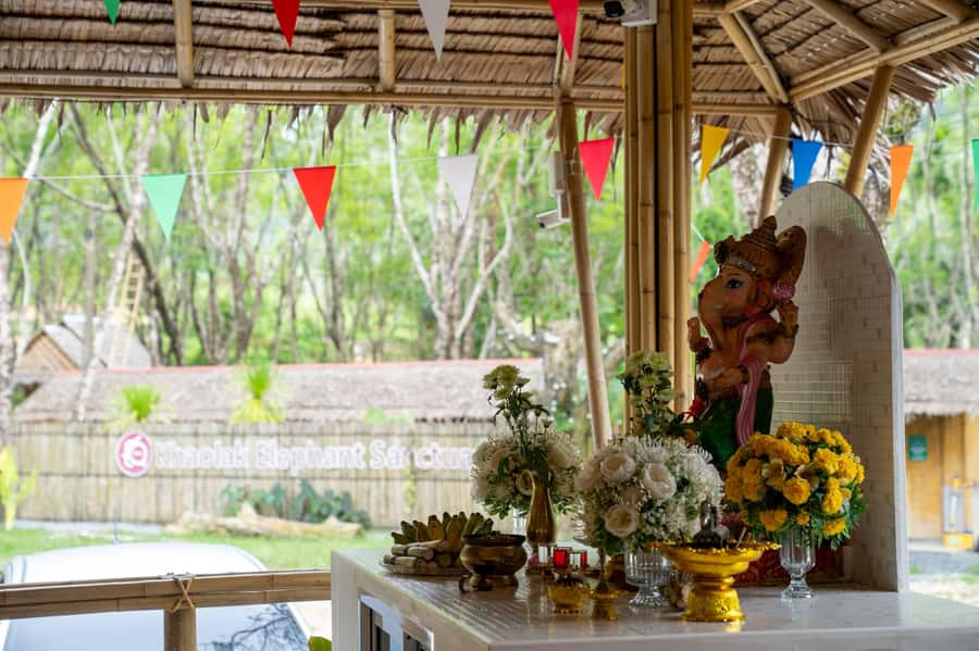 Khao Lak: Ethical Overnight Elephant Sanctuary Experience - What $318 buys you
