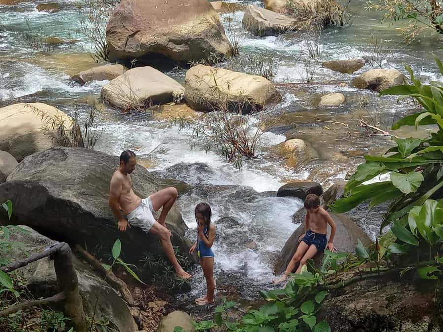 Khao Lak: Khao Sok Elephant Sanctuary and Night Jungle Walk - Key points to know before booking